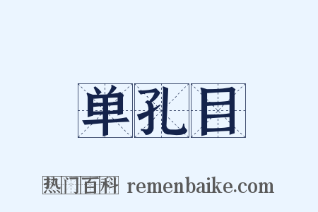 单孔目是什么意思的图片